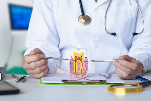 Best Emergency Gum Treatment in Louise, TX